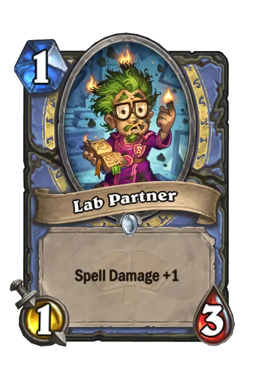 Lab Partner