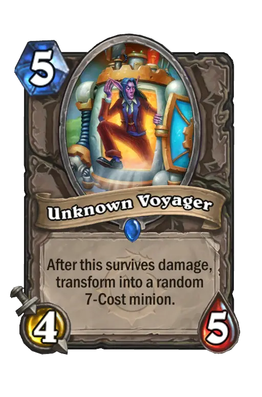 Unknown Voyager