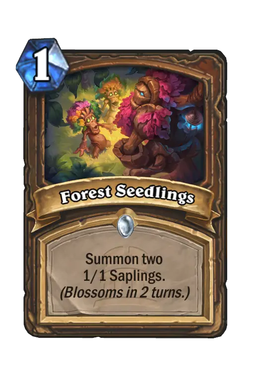 Forest Seedlings