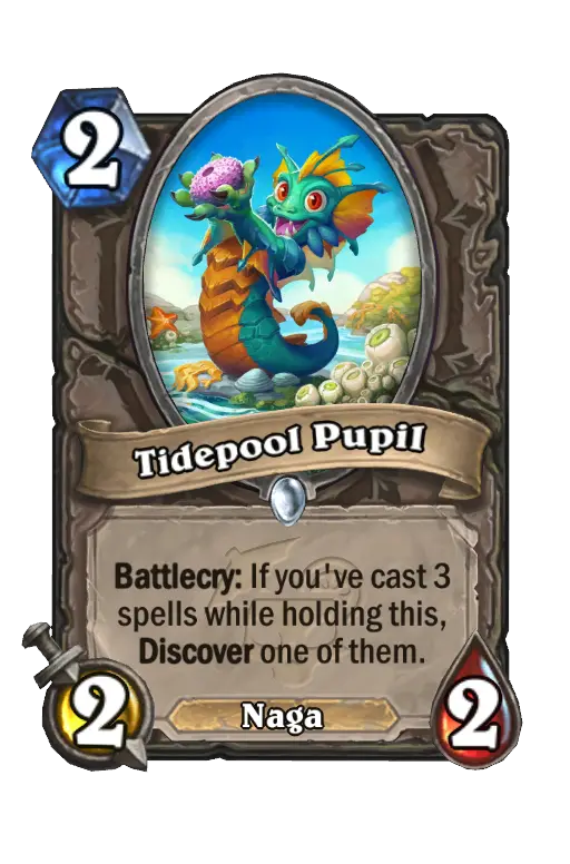 Tidepool Pupil